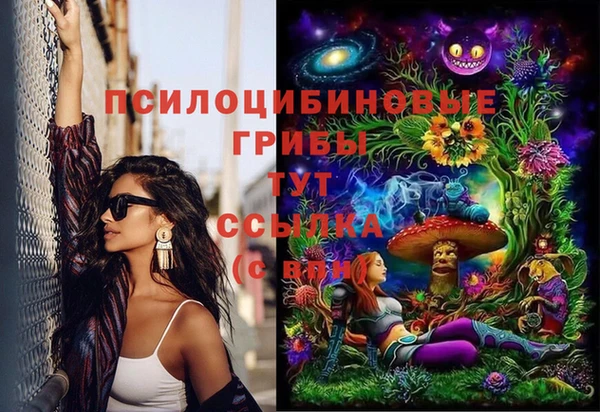 кокс Алексин