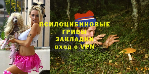кокс Алексин