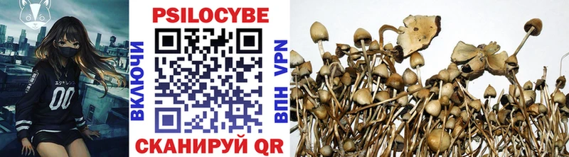 Галлюциногенные грибы прущие грибы  Нижний Новгород 